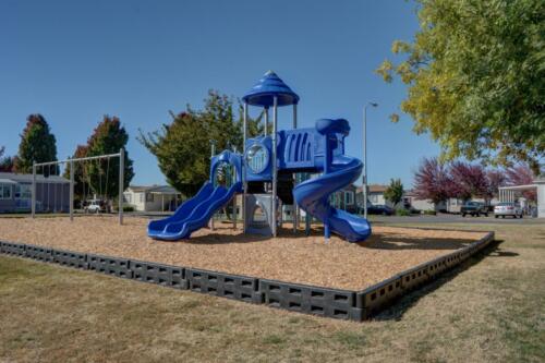 A playground with a blue slide in a park.
