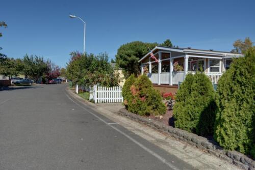 A street with a white picket fence in front of a house.